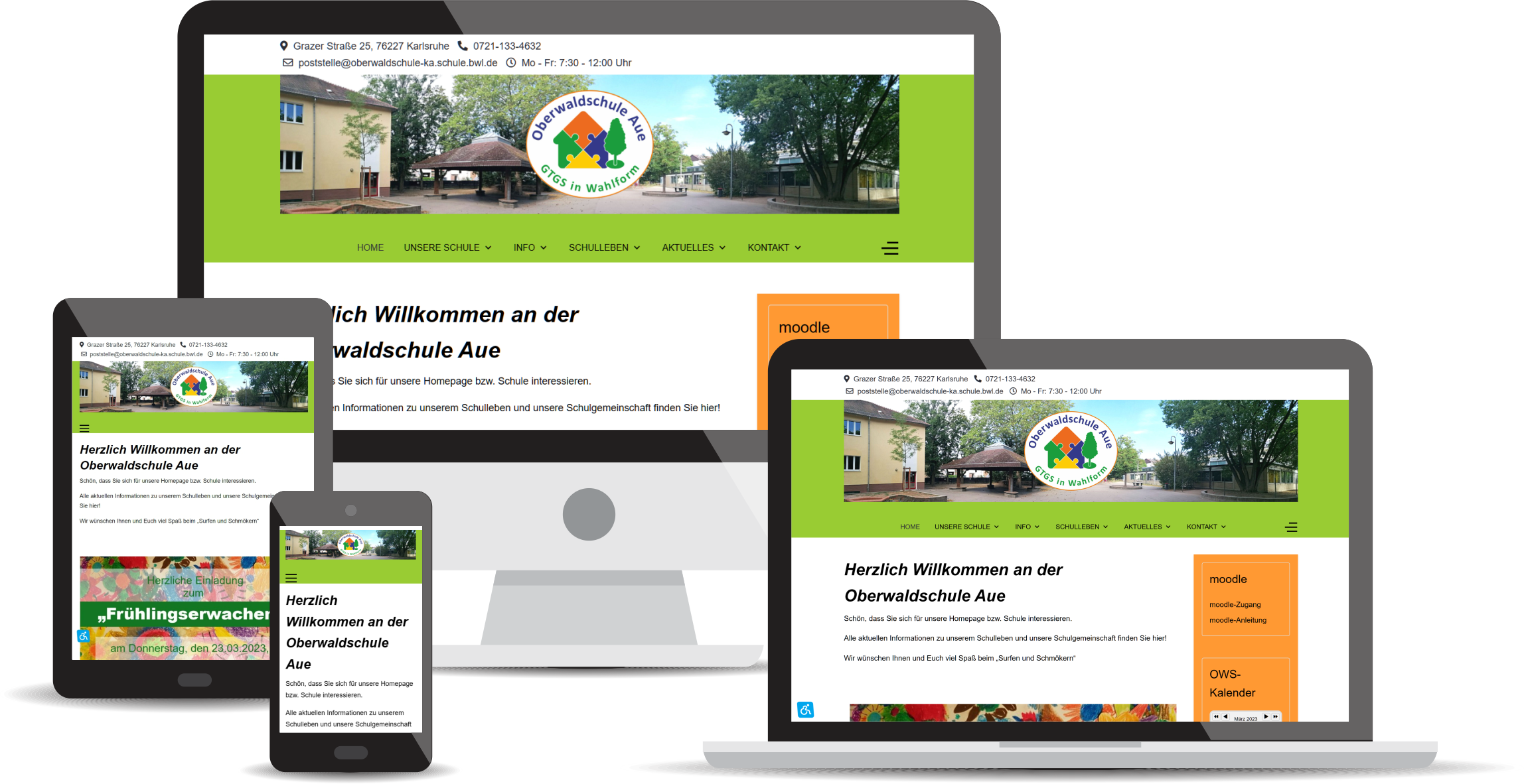 Oberwaldschule Aue Webseite responsive